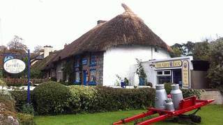 Berkeley Lodge Limerick Junction 외부 사진